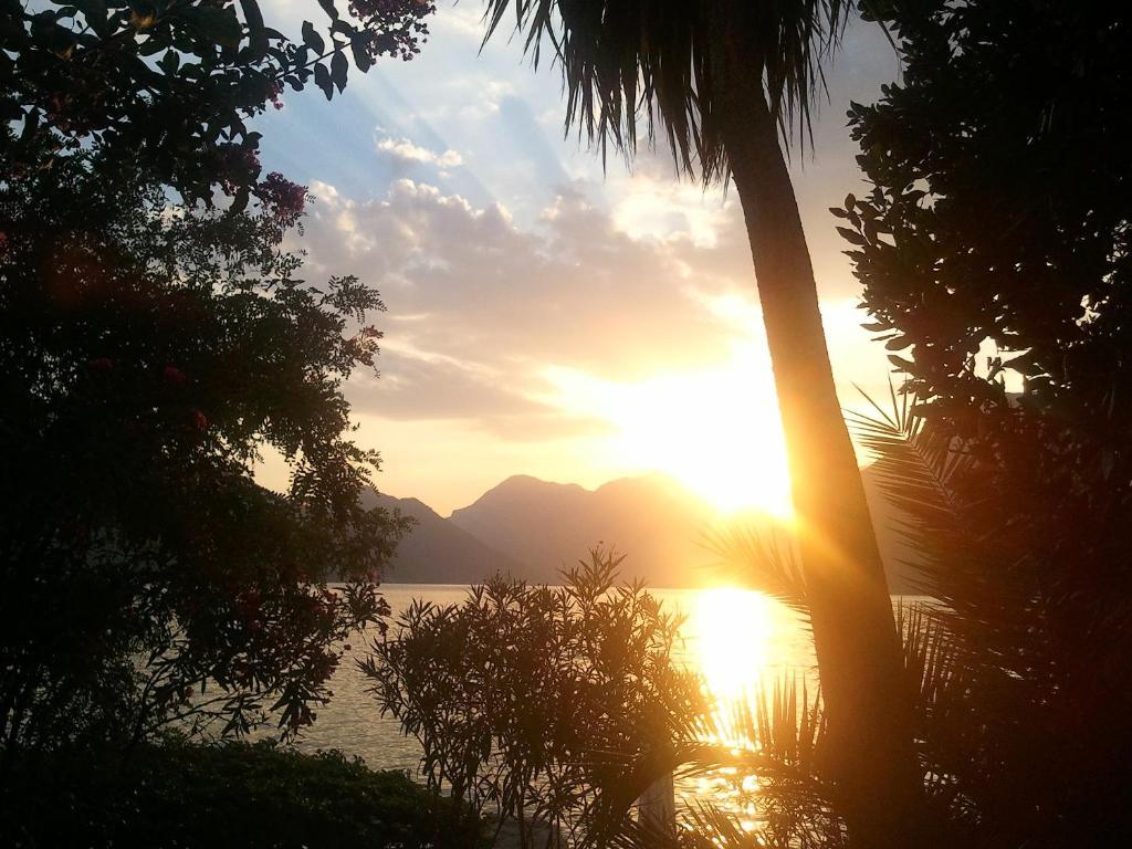 Pm Kotor